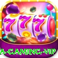 80a Gaming VIP
