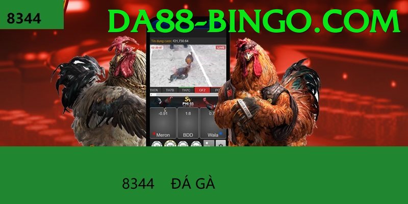 Đá Gà Trực Tiếp - da88 - Demo