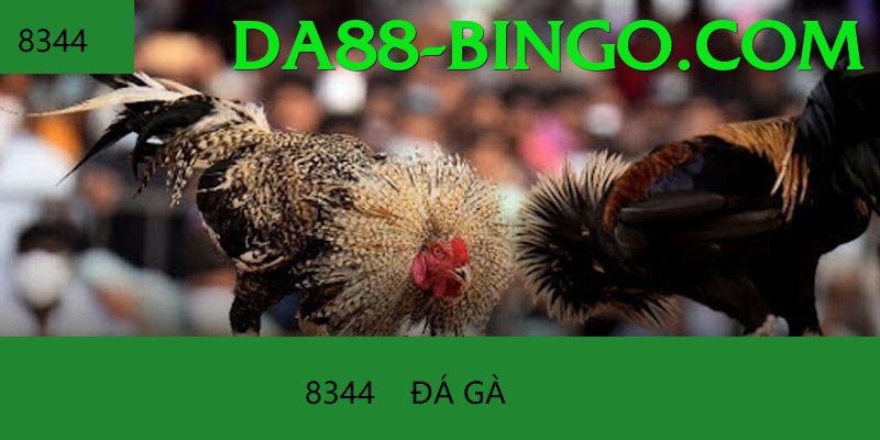 Trường Đấu Đá Gà Chuyên Nghiệp - Dành cho điện thoại cấu hình thấp